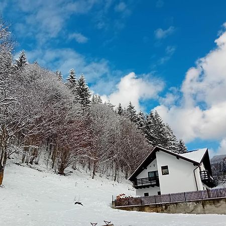 Casa Valea Prejbei Villa Rau Sadului Eksteriør billede