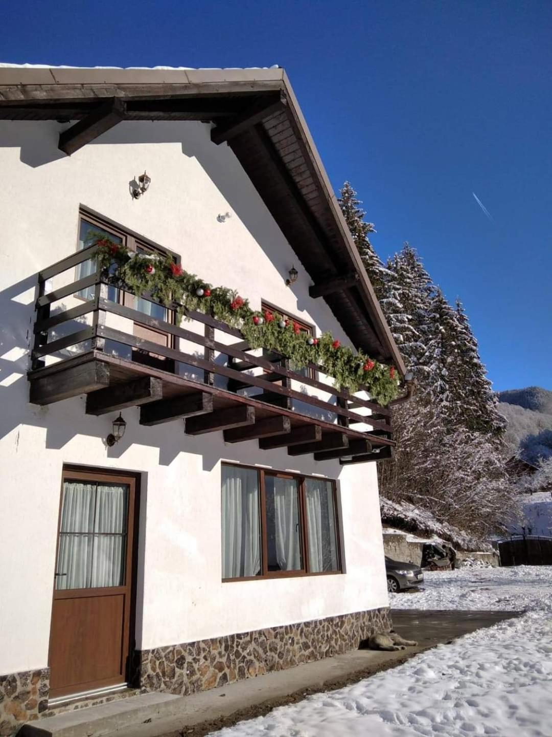 Casa Valea Prejbei Villa Rau Sadului Eksteriør billede