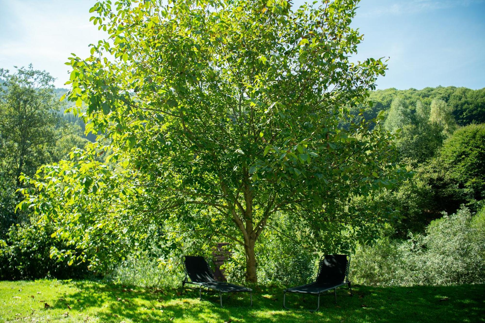 Casa Valea Prejbei Villa Rau Sadului Eksteriør billede