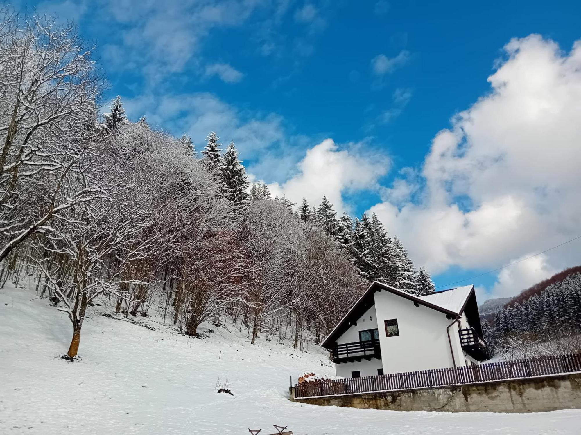 Casa Valea Prejbei Villa Rau Sadului Eksteriør billede
